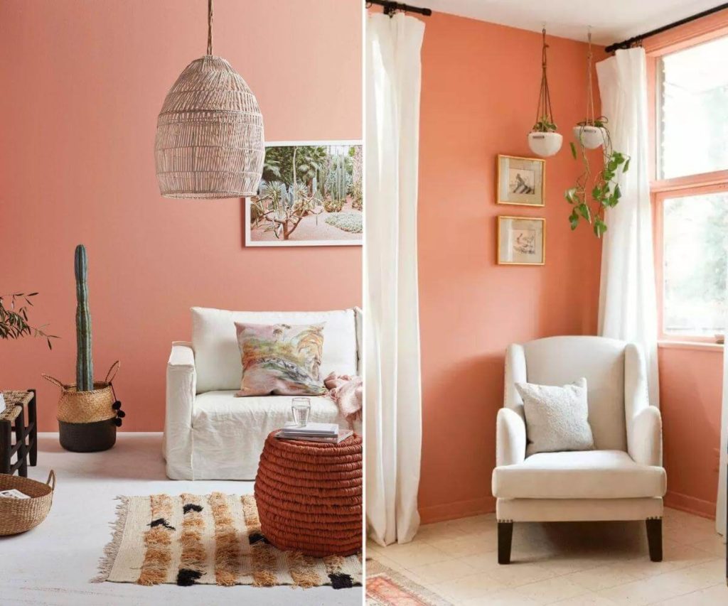 Coral Rose Living Room Colour For 2022