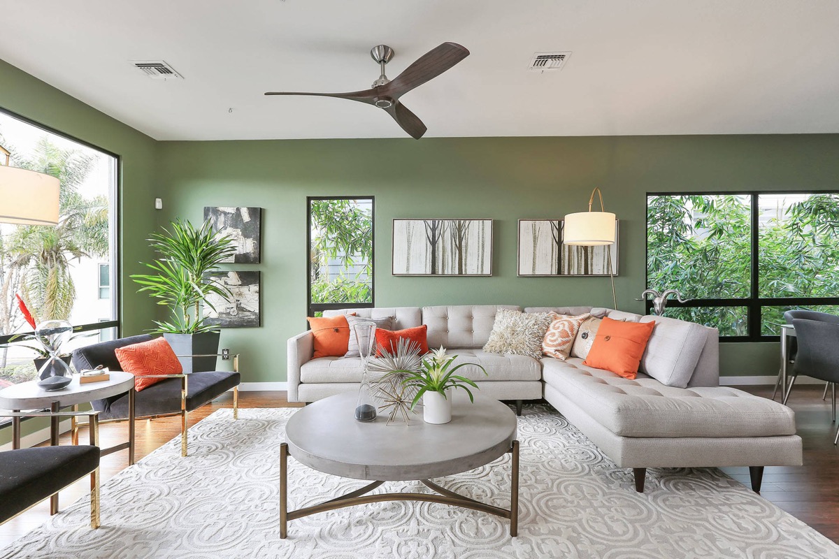 modern living room green carpet