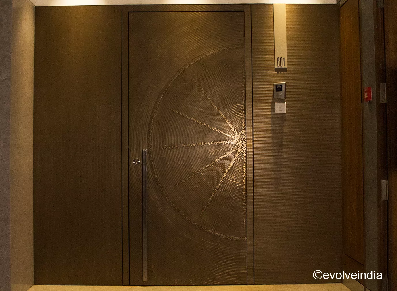 Entrance door designed with sunray bronze by Evolve India