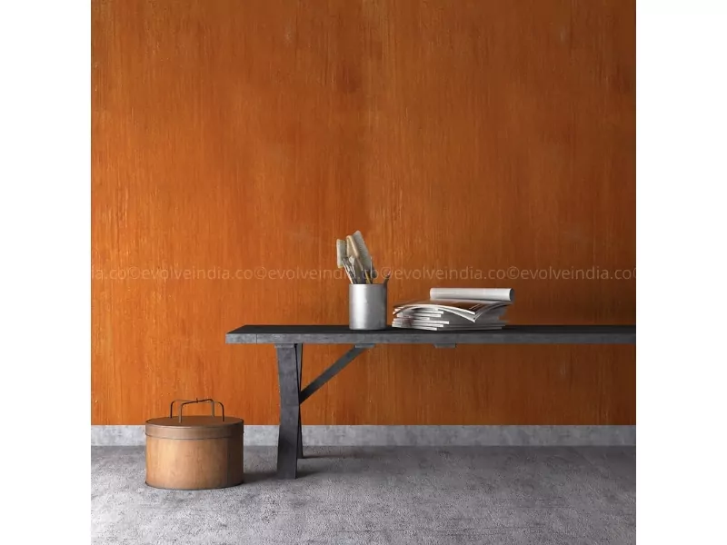 Rust Wall Designs Texture Of A Foyer By Evolve India